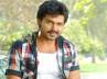 karthi bad boy review, karthi awaara, tamil hero falls in love with hyderabad, Karthi new movie