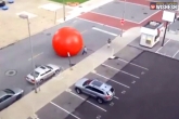 giant ball, giant ball, watch 113 kg ball rolls on the road, On the road