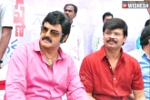 Boyapati Seenu, Balakrishna 100 movie, why not boyapati for balakrishna s 100th film, Boyapati seenu