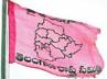 , jac, trs leader telangana or massive protest, Telangana protest