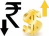 equity market, foreign exchange market, a decline in rupee against dollar, Equity