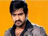 'Baadshah', , young tiger desperate for a success, Brindaavanam