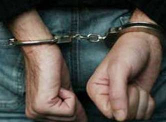 NRI arrest case: Indian Govt follow ups 