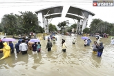 CM Jayalalitha, Chennai rains updates, more rains expected in chennai in next 48 hours, Tamilnadu news