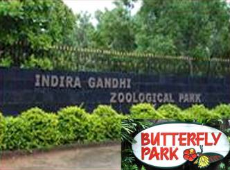 Butterfly Park