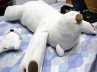 weseda university tobotic bear, snoring robotic bear, robotic bear that stops you from snoring, Pillow