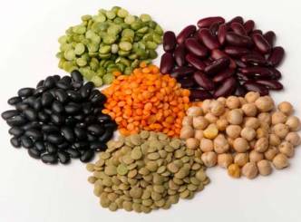 SLIDESHOW: Vegetarian Protein foods for a healthy life