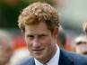 adult film, Prince Harry, prince harry to appear in a adult flick, Adult film