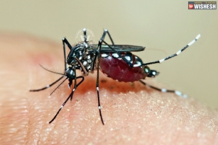 Dengue can cause blindness, finds study