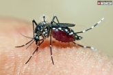 dengue affects eye sight, Dengue can result in blindness, dengue can cause blindness finds study, Blindness