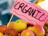 Healthy food, health tips, organic apples make the perfect health food, Apples