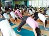 yoga, Medical Council of India, yoga sports for mbbs students, Mci