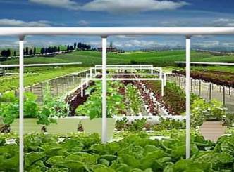 Enjoy Amazing Form of Gardening with Hydroponics System...!