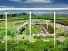 greenhouses, , enjoy amazing form of gardening with hydroponics system, Greenhouses