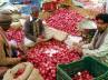 retail market, onion prices fall, onion prices fall steeply supply excess, Onion prices