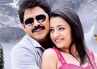 Venkatesh BodyGuard review, telugu movie news, after body guard venky s shadow now, Venkatesh trisha