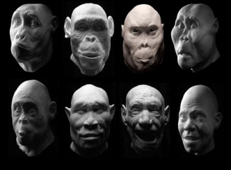 7 million years evolution, Researchers use forensics to rebuild 27 faces of man&#039;s ancestors