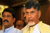 Telangana political news, Telangana political news, ghmc elections naidu gets active trs in danger zone, Ghmc elections