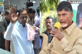 Chandrababu Naidu, Telangana political news, naidu to stay away from ghmc elections, Ghmc elections