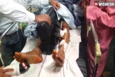telangana news, Hyderabad news, height surgery row doctors in dock, Dock