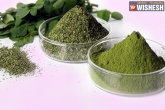 useful herbs to cure cancer, effective herbs on cancer, useful herbs to counter cancer pain, Cancer pain