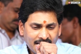 TDP, AP political news, shocker another ysrcp mla joins tdp, Jayaram