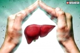 Liver Health videos, Liver diseases, how to improve the longevity of liver, Health news
