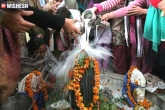Shivaratri, Shivaratri, 3 reasons to celebrate maha shivaratri, Festivals