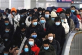 China Covid Row reports, China Covid Row latest, report says that the new covid wave in china will kill a million people, Coronavirus