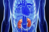 raman spectroscopy techniques, Raman spectroscopy method to spot kidney disease, new method to detect kidney disease, Copy