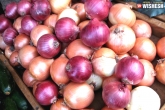 benefits of Onion, health tips, 5 benefits onions can really give, Onions