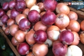1 rupee kg onions, onions price, onions rs 1 per kg, Rupee