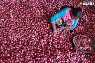 Telugu states avail centre&rsquo;s onions subsidy
