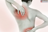 tips for shoulder and back pain, shoulder and back pain tips, tips to deal with your pain in shoulders and back, Healthy living