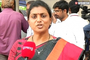 Growth rate in AP? Good joke - Roja