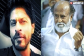 Kabali movie updates, Datuk title to Rajinikanth, rajinikanth is next to shah rukh khan, Kabali movie