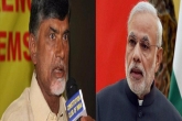 special status TDP BJP, special status issue, ap special status tdp bjp declare war on each other, Tdp and bjp