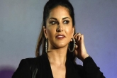 Sunny Leone new movie, Sunny Leone new movie, sunny leone unwilling to do adult comedies, Adult
