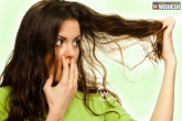 Things you are doing to damage your hair, things that damage hair, things you are doing to damage your hair, Hair tips
