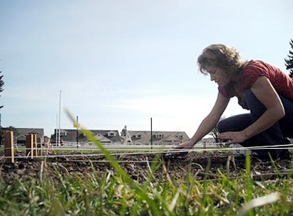 Milking: senseless craze ires Austrian farmers