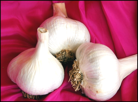 Include garlic for healthy life