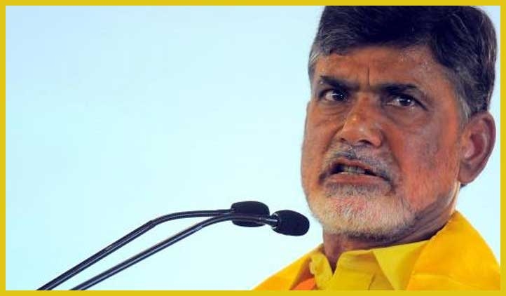 Jubilant Naidu says judgment vindicated his stand