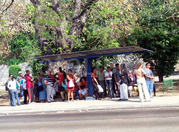 Waiting for a bus