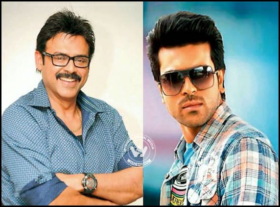 Venky Cherry Movie From January