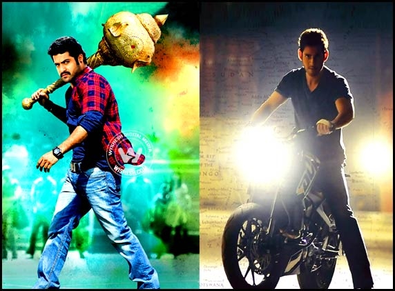 No rest for Tollywood actors, NTR, Mahesh work non-stop