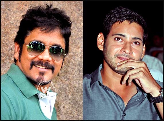 Nagarjuna&#039;s Bhai look after Mahesh&#039;s Birthday