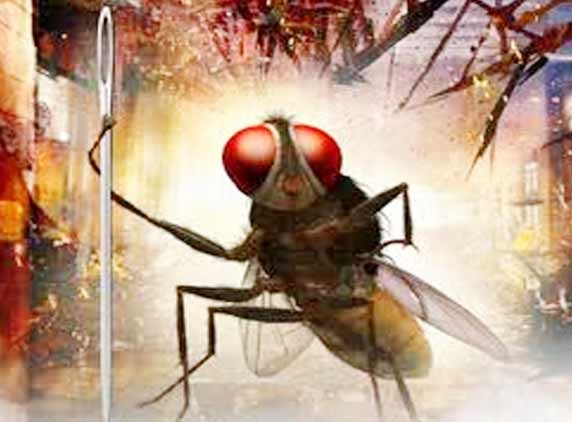 Eega (Naan Ee) ready to fly high