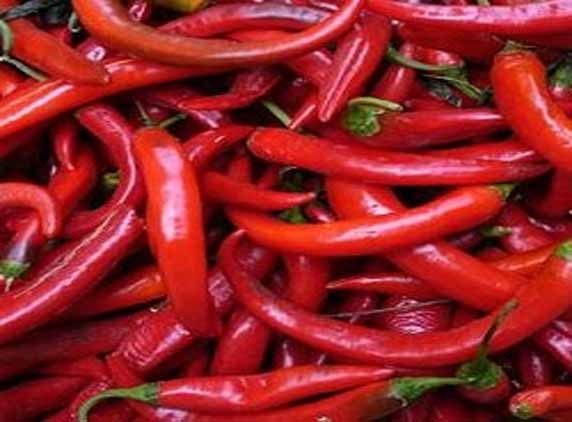 Chillies could cure Obesity problems 