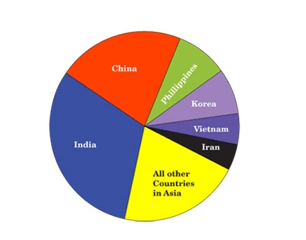 India-Born Dominate in Science, Engineering Degrees