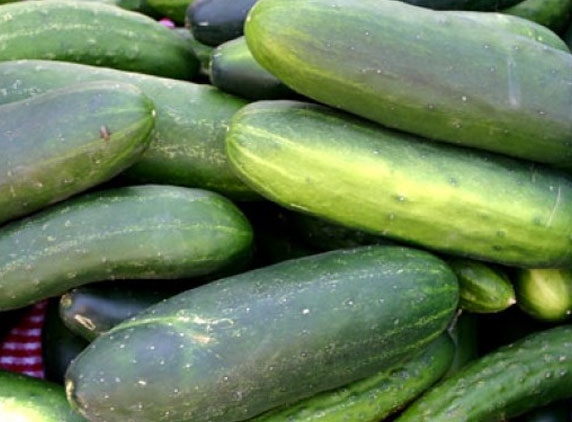 Yoghurt and Cucumber Soup